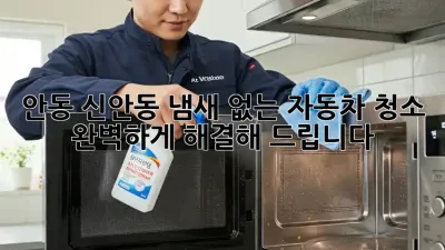 안동 신안동 냄새 없는 자동차 청소, 완벽하게 해결해 드립니다!